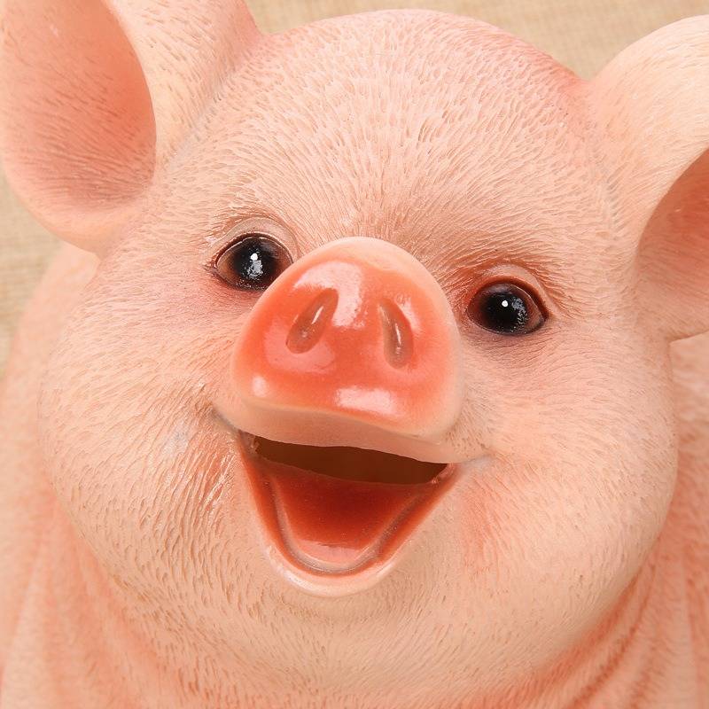Jovati Tirelire Cochon en Plastique pour Garçons Filles 